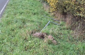 Polizeidirektion Trier: POL-PDTR: Diebstahl von Ortsschild in Pluwig