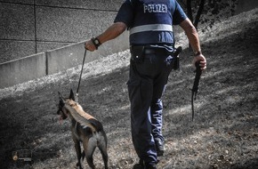 Polizeipräsidium Westpfalz: POL-PPWP: Polizeihund findet Drogen