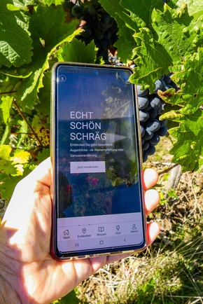 Pressemitteilung: Ausgezeichneter Weingenuss im Süden