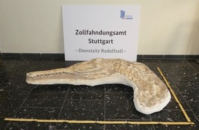 Zollfahndungsamt Stuttgart: ZOLL-S: Rückgabe eines urzeitlichen Krokodilschädels an das Königreich Marokko / Bei Einreisekontrolle beschlagnahmtes Fossil stammte aus Phosphat-Abbaugebieten