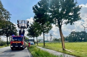 Freiwillige Feuerwehr Alpen: FW Alpen: Gespaltener Baum nach Blitzeinschlag