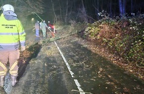 Freiwillige Feuerwehr Hünxe: FW Hünxe: Pkw kollidiert mit umgestürztem Baum