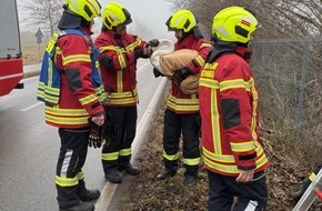 Freiwillige Feuerwehr Reichenau: FW Reichenau: Schwan vom Bahndamm gerettet, Reichenau-Lindenb&uuml;hl, 20.01.2026