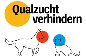 ZZF – Zentralverband der Heimtierbranche e.V.: ZZF informiert über Qualzüchtung und fordert rechtssichere Kriterienliste