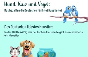 Sparwelt.de: Forsa-Umfrage: Dieses Haustier besitzen Deutsche mit höherem Einkommen
