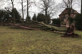 Polizeipräsidium Westpfalz: POL-PPWP: Glück im Unglück: Baum stürzt auf Spaziergänger