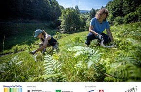 Bergwaldprojekt e.V.: Projekt &bdquo;Natur (er)leben! &ndash; Kinder- und Jugendhilfe packt an&ldquo;: Zwischenergebnisse der Evaluation ver&ouml;ffentlicht
