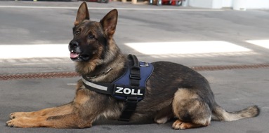 Hauptzollamt Lörrach: HZA-LÖ: Findiges Duo mit sechs Beinen: Besondere Anerkennung für Zollhundeteam beim Hauptzollamt Lörrach Auszeichnung der Zollhundeschule der Generalzolldirektion