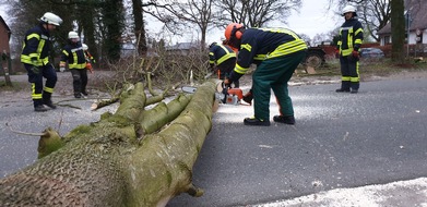 Freiwillige Feuerwehr Gemeinde Schiffdorf: FFW Schiffdorf: Umgestürzter Baum blockiert Straße vollständig