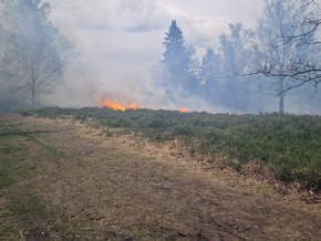 FW Horn-Bad Meinberg: Waldbrand zerstört 2 Hektar Wald- und Heidefläche - bis zu 150 Kräfte im Großeinsatz