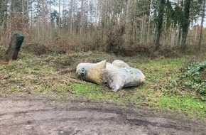 Polizeidirektion Lübeck: POL-HL: HL-Kücknitz / Polizei ermittelt nach unerlaubter Müllentsorgung