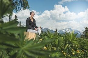 Aletsch Arena AG: Mondholzzimmer - Wenn der Wald ans Hotelzimmer klopft