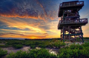 Bradenton Gulf Islands: Robinson Preserve: Naturreservat, Kinderstube und Abenteuer-Spielplatz