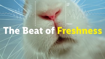 Lidl: "The Beat of Freshness": Lidl stellt Frische im Rahmen einer Kreativ-Aktivierung unter Beweis