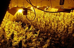 Polizeiinspektion Nienburg / Schaumburg: POL-NI: Festnahme eines 31-Jährigen Rumänen und Drogenhändlers durch Spezialkräfte der Polizei - Ermittlungsgruppe Canna erfolgreich -Bezug OTS-Meldung v. 21.10.2009- Bild im Download
