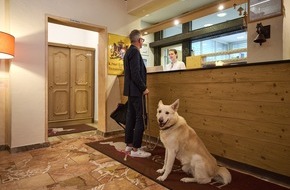 Allg&auml;u GmbH: Warum ein Wanderurlaub mit Hund im Allg&auml;u gl&uuml;cklich macht