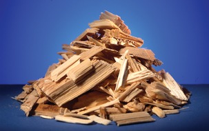 DIE PAPIERINDUSTRIE e.V.: Papierindustrie: Stoffliche Nutzung von Holz muss Vorrang haben