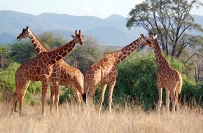 IFAW Deutschland: Artenschutzkonferenz: Es geht ums &Uuml;berleben - Schutz dringend notwendig