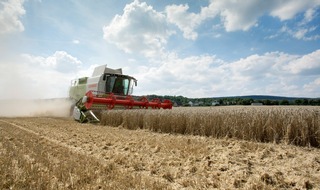 AGRAVIS Raiffeisen AG: Prognose der Agravis Raiffeisen AG zur beginnenden Ernte