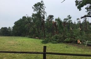 Feuerwehr Bottrop: FW-BOT: Schlussmeldung: Unwetter am 15.06. in Grafenwald