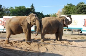 Aktionsbündnis "Tiere gehören zum Circus": Aktionsbündnis: Bundesratsinitiative liefert keine ausreichende Begründung für Tierverbote im Zirkus