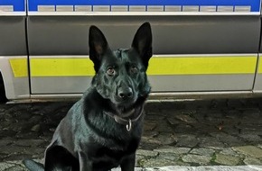 Polizei Hamburg: POL-HH: 250616-1. Drei vorläufige Festnahmen nach Verdacht des Wohnungseinbruchdiebstahls in Hamburg-St. Georg