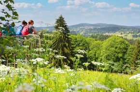Tourismusverband Ostbayern e.V.: Wo es grünt, blüht und summt / Sommerliche Wanderungen durch die grüne Idylle des Bayerischen Waldes