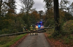 Feuerwehr Gevelsberg: FW-EN: Sturmtief "Ciarán" zeigt sich auch in Gevelsberg