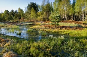 NABU: NABU: Bis 2050 alle Moore weltweit wiedervernässen / NABU koordiniert neues Moorschutzprojekt "LIFE Multi Peat" in Irland, Belgien, den Niederlanden, Polen und Deutschland