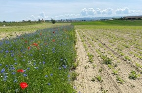 LIDL Schweiz: Lidl Svizzera promuove la biodiversità in Svizzera / Progetti finalizzati alla conservazione della biodiversità