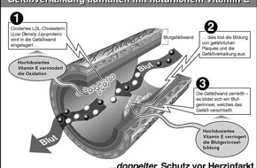 CGC Cramer-Gesundheits-Consulting GmbH: Herzinfarkt durch überhöhte Blutfette / Gefäßverkalkung stoppen - Gesunde Adern mit natürlichem Vitamin E