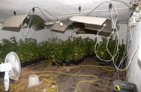 Polizeidirektion Hannover: POL-H: Wunstorf: Indoorplantage beschlagnahmt
