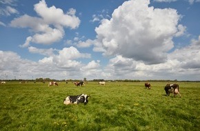 Arla Foods Deutschland GmbH: Bilanz 2021: Arla Foods bleibt trotz volatiler Marktbedingungen auf Wachstumskurs