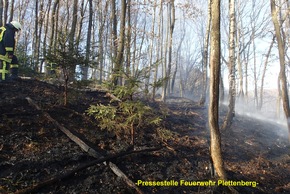 FW-PL: OT-Lettmecke. FOLGEMELDUNG. Rund 2000 Quadratmeter Waldboden gerieten in Steilhang in Brand.