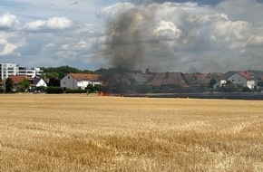 Polizeidirektion Ludwigshafen: POL-PDLU: Feldbrand