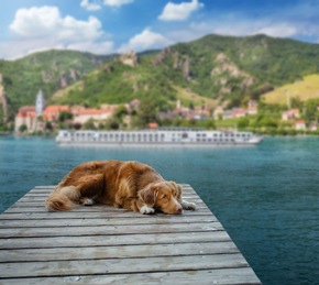 Pressemitteilung &ndash; Hund gratis dabei: TV-Sender vermittelt Kreuzfahrt f&uuml;r vier Pfoten