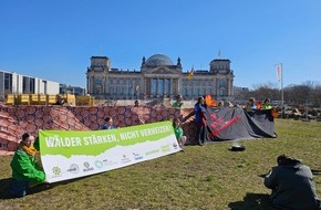 Robin Wood e.V.: Wälder stärken, nicht verheizen!