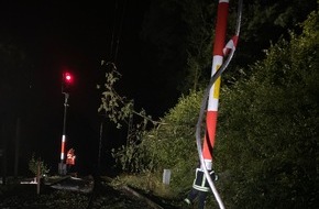 Feuerwehr Detmold: FW-DT: Brennender Baum auf Bahn-Oberleitung