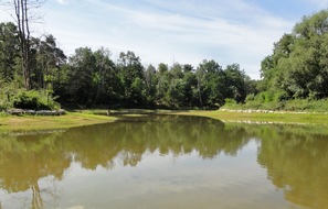 Deutsche Bundesstiftung Umwelt (DBU): DBU Naturerbe bittet um Rücksichtnahme nach Teichsanierung am Hainberg