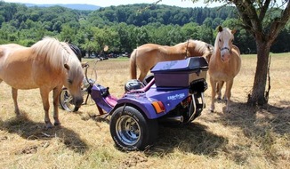 Polizeidirektion Kaiserslautern: POL-PDKL: Fahrer landet mit seinem Trike in einer Pferdekoppel