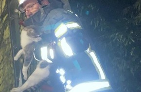 Freiwillige Feuerwehr Werne: FW-WRN: TH_1 - LG2 - Katze in Baum, ca. 6 m hoch