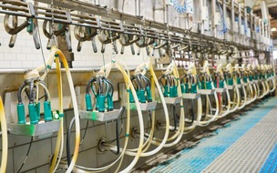 Vernetzt, flexibel, resilient: GEA zeigt Zukunftsperspektiven für die Milchproduktion auf der EuroTier 2026