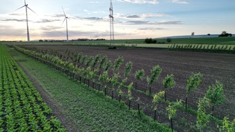 EDEKA ZENTRALE Stiftung & Co. KG: Landwirtschaft widerstandsf&auml;higer gestalten: EDEKA startet Agroforst-Pilotprojekt entlang der eigenen Lieferkette