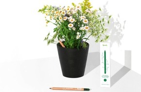 Sprout World: Nachhaltiges Weihnachtsgeschenk / Pendant zum erfolgreichen Kajalstift: Der Augenbrauenstift, der sich in Wildblumen verwandelt