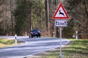 HUK-COBURG: Wildunfall vermeiden: Wo Reh und Wildschwein häufig die Straße queren