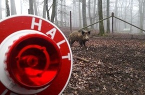 Polizeidirektion Wittlich: POL-PDWIL: Polizei Bitburg warnt vor Wildwechsel in der Morgendämmerung