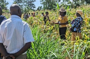 Deutsche Bundesstiftung Umwelt (DBU): DBU: Biologisch gegen Hexenkraut