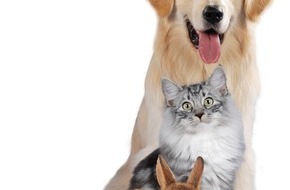 Urlaubsguru GmbH: Presse-Info: "Liebe-Dein-Haustier-Tag" - welches sind die beliebtesten Haustiere?