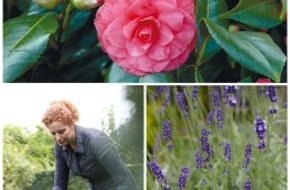 Blumenbüro: Frühlingsfrische für das Beet: Wecke den Gärtner in dir / Buchsbaum, Lavendel & Co. bringen Form und Farbe in den Garten
