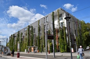 Deutsche Bundesstiftung Umwelt (DBU): Bundesverband Gebäudegrün startet Dialogreihe mit Städten und Kommunen - DBU fördert